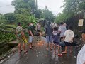 Puluhan Rumah Banjir dan Pohon Tumbang, Lurah Mangalli Siapkan Dapur Umum