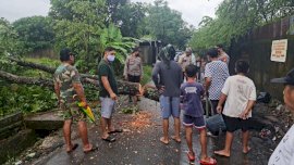 Puluhan Rumah Banjir dan Pohon Tumbang, Lurah Mangalli Siapkan Dapur Umum