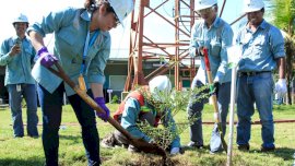 PT Vale Indonesia Menyerahkan Lahan Hasil Rehabilitasi Hutan