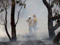 Pemuda Indonesia Buat Teknologi untuk Prediksi Persebaran Api Kebakaran Hutan