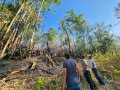 Kebakaran Karhutla di Hutan Pinus Malino Berhasil Dipadamkan Tim Gabungan 